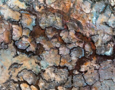 Videopräsentationen meiner Bilder